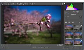 Adobe Photoshop CS5 Crack
