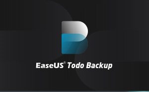 EaseUS Todo PCTrans Pro 13.11 Crack